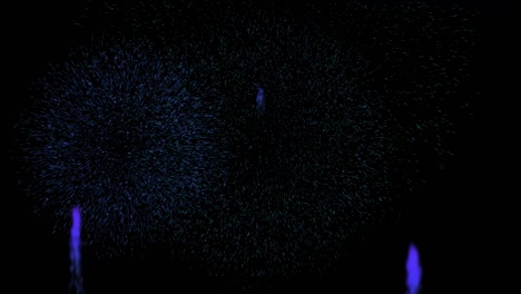 fireworks animation motion graphics