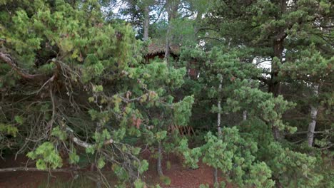 Aerial-establishing-shot-of-a-modern-treehouse-built-in-a-french-forest