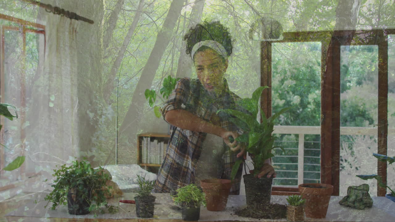 Tending to potted plants, man with nature scene visible through window