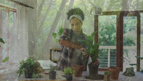 tending to potted plants, man with nature scene visible through window