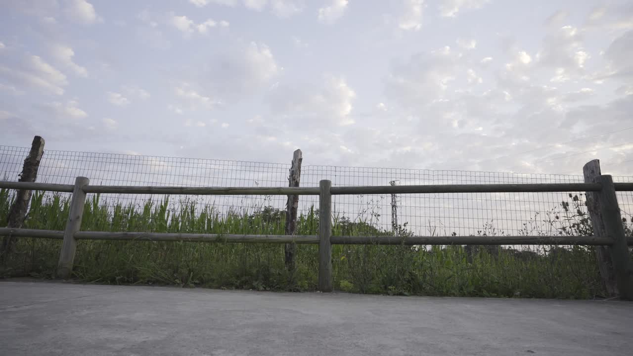 시골에서 달리는 남자, 맑은 하늘, 배경의 옥수수밭, 아스투리아스, 스페인, 정적 샷