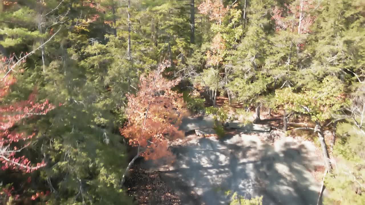 바위와 나무 줄 위로 솟아 오르는 연못과 작은 폭포에서 공중