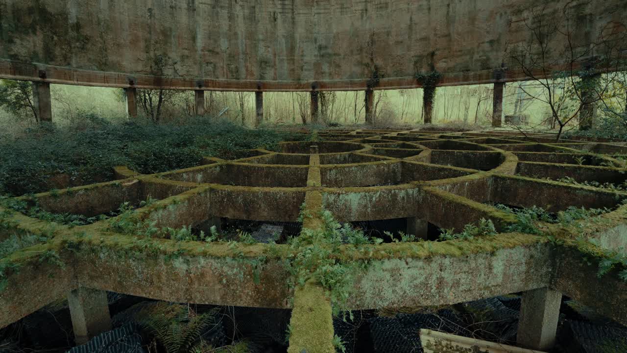 Abandoned Circular Concrete Structure Overgrown with Moss and Vegetation