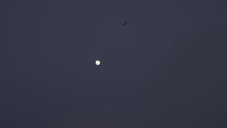 small airplane flying over full moon