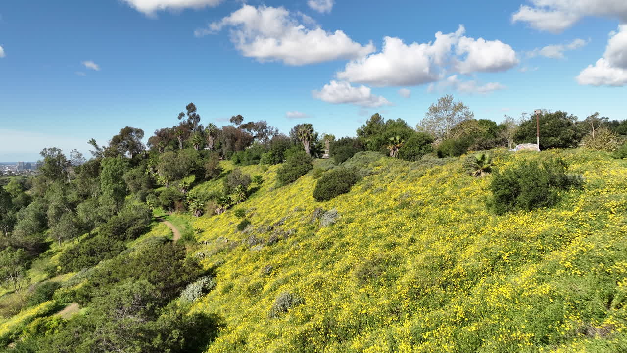 Volo con drone su Elysian Park, Los Angeles