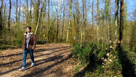 walking man forest