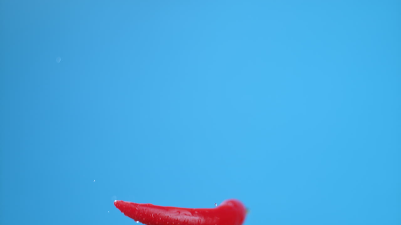 Red Chili Pepper Floating with Water Droplets on Blue Background