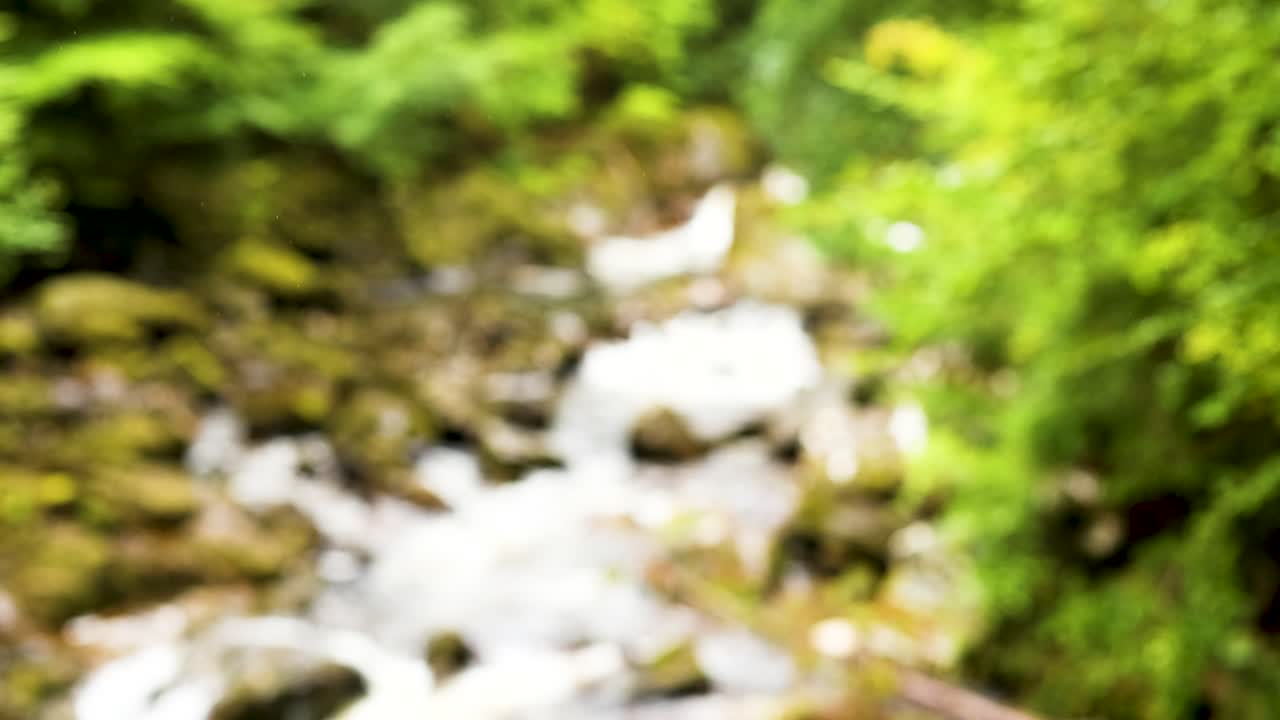 푸른 숲 의 바위 위 에 있는 물 폭포