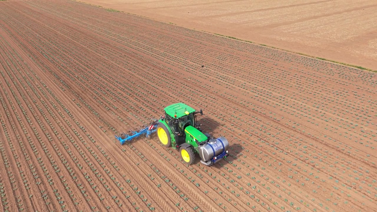 Vista aerea di un trattore che ara un campo al tramonto. Il mezzo è al lavoro su un terreno agricolo, lasciando scie di polvere e disegni nel suolo arato, per la preparazione del terreno e la coltivazione delle colture in una fattoria nel Regno Unito.