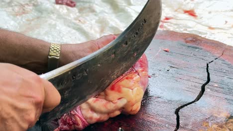 meat, a sacred tradition of eid ul azha promoting health, hygiene, nutrition, spirituality, beauty, and ethical meat consumption