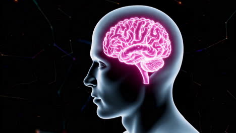 digital representation of the human brain and mind