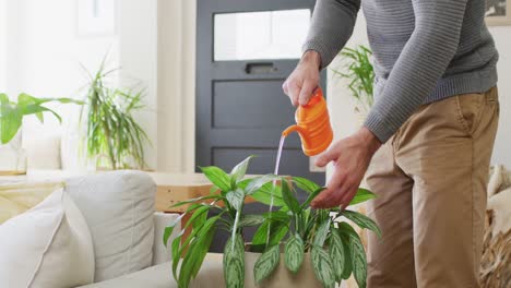 video of midsection of caucasian man watering houseplants at home, copy space