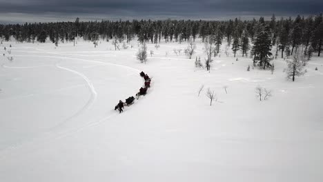 Drone-view-of-reindeer-sleighride-in-Saariselka,-Lapland,-Finland