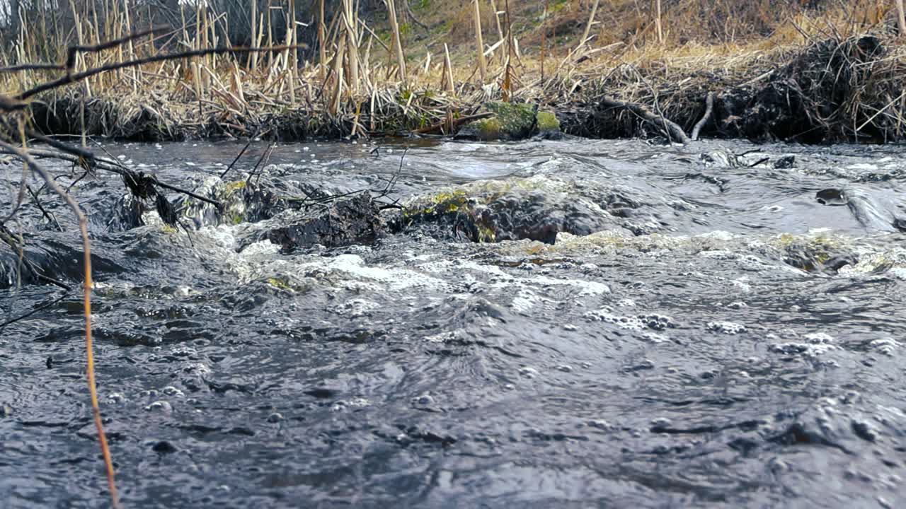Close up low angle footage of dark blue and brown river water flowing over branches and rocks during a spring or autumn cloudy day. Water is creating bubbles and foam when gushing with waves.