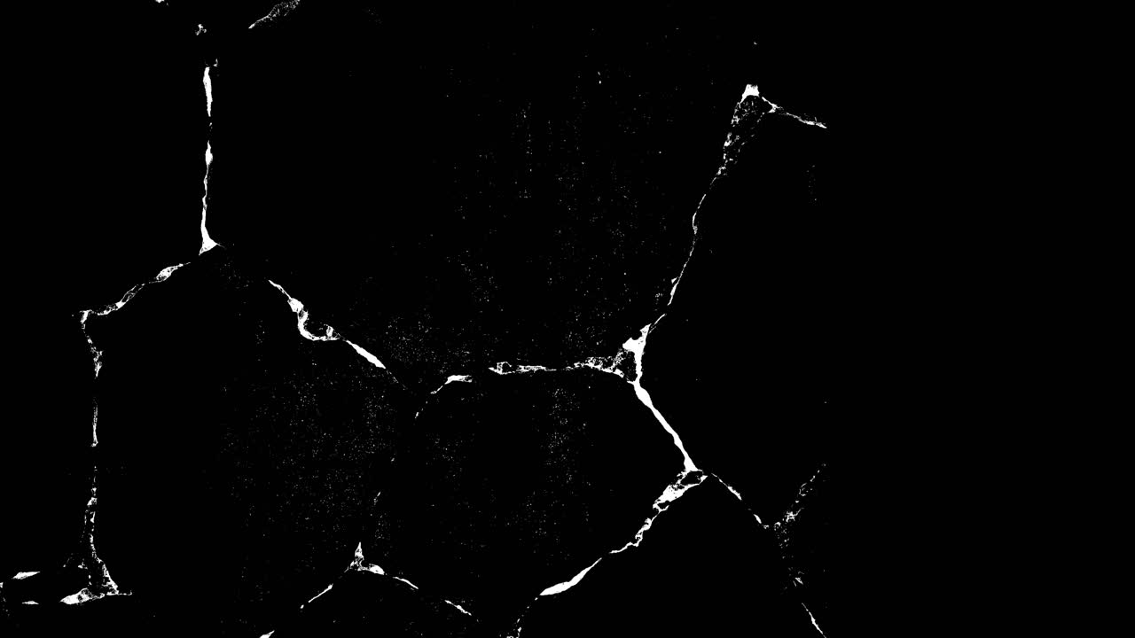 Dynamic White Cracks Spreading on Black Background