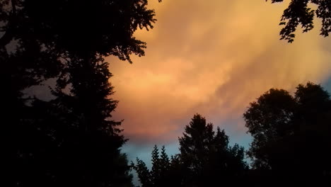 nubes de tormenta al atardecer vistas a través de árboles silueteados