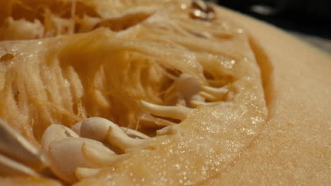 macro slide across the inside of a cantaloupe fruit