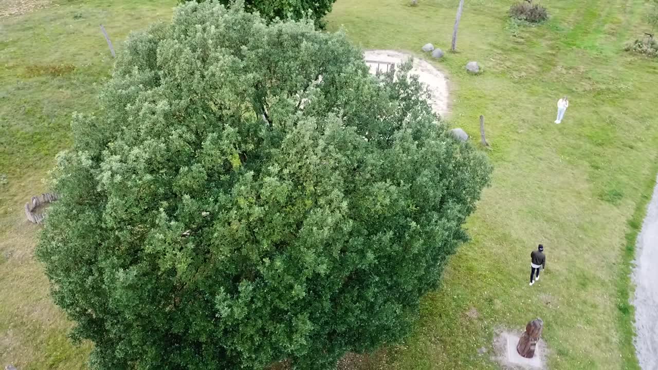 필드에서 나무 주위를 걷는 사람