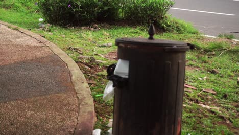 a mouse came out of the trash after looking for food in that place