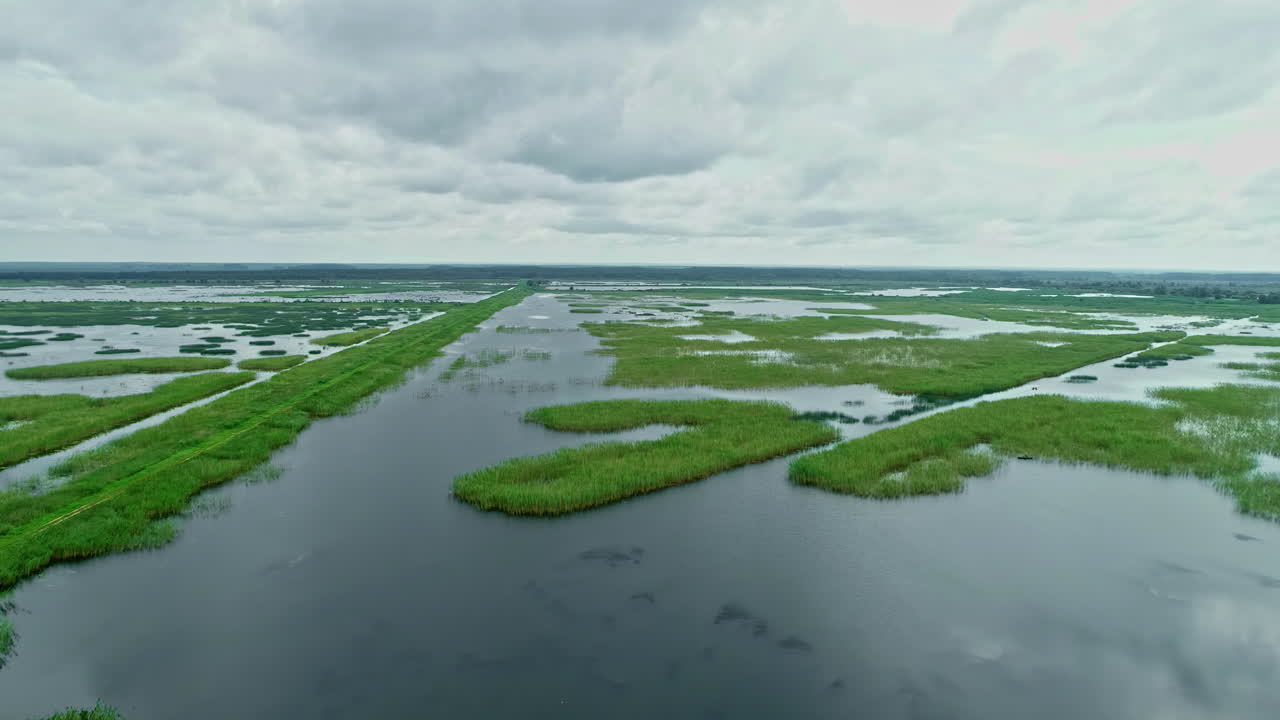 Bellissimi prati verdi circondati da zone umide, vista aerea con drone