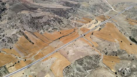 the drone's flight is very high above the fields of gold, the green edges of the road along which cars drive