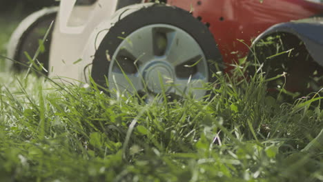 lawn mower cutting grass