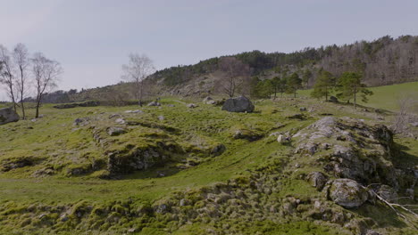 Aerial-Drone-of-sheep,-lambs-grazing-in-a-rocky-field