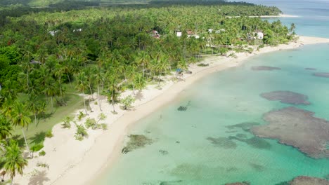 aerial view of tropical beach