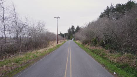 aerial dolly along empty road lined with grass and dead trees