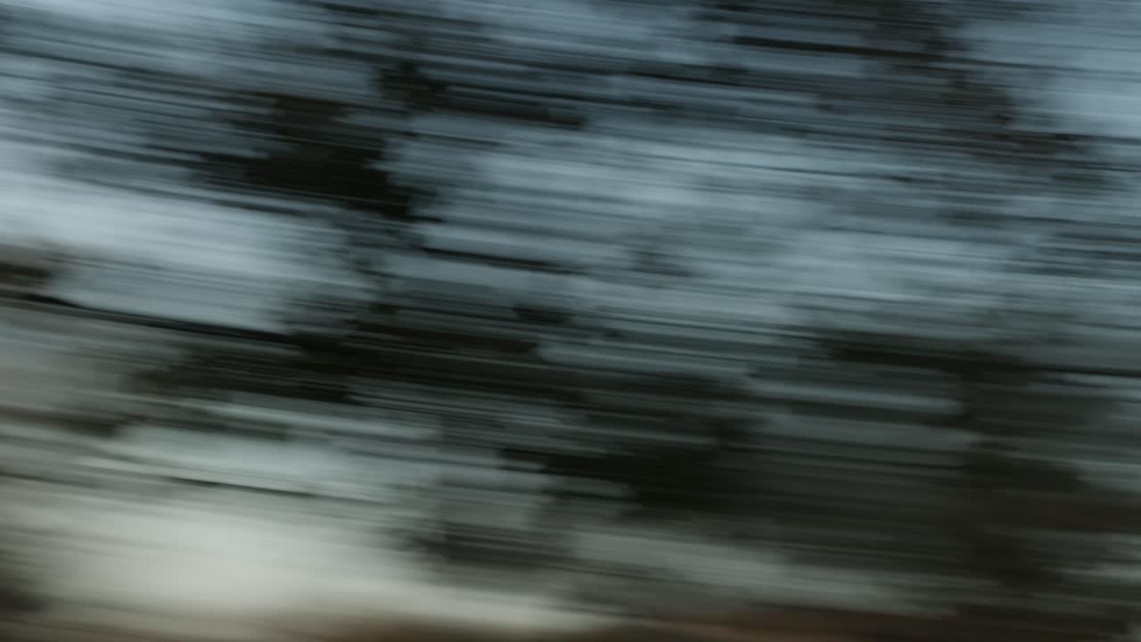 luz solar borrosa del bosque