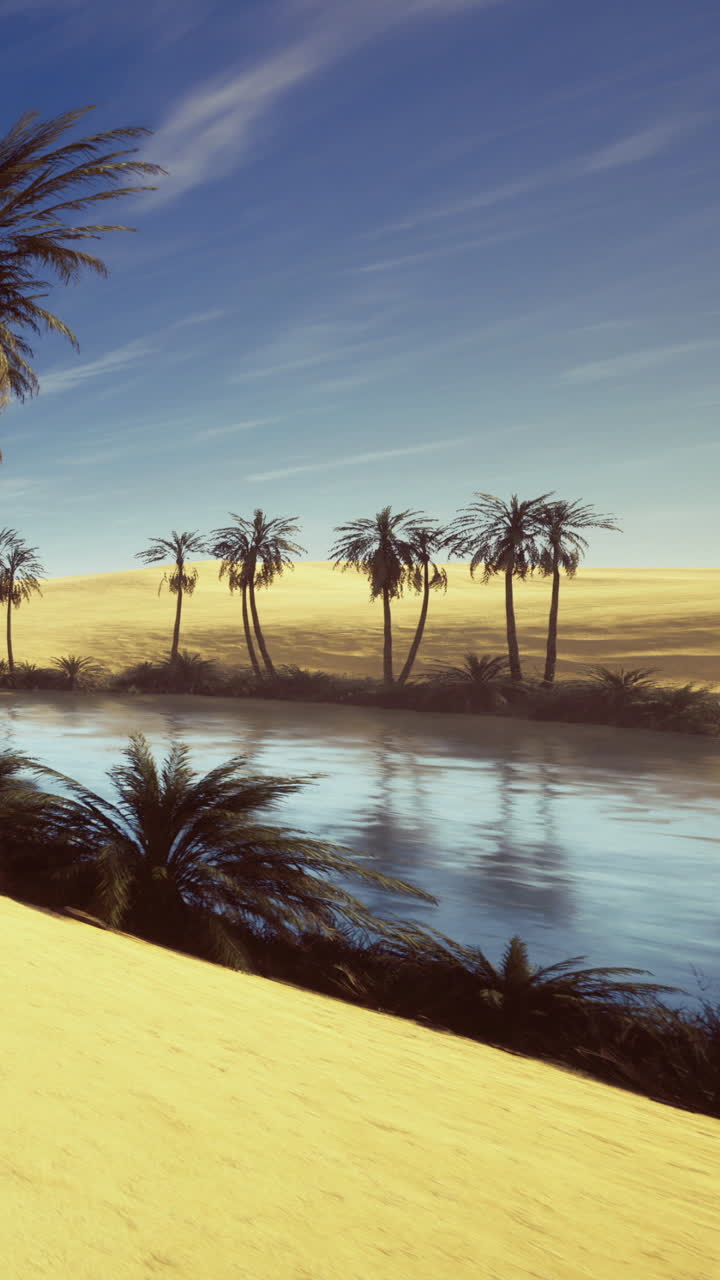 Scena di oasi nel deserto con palme e fiume sotto un cielo blu