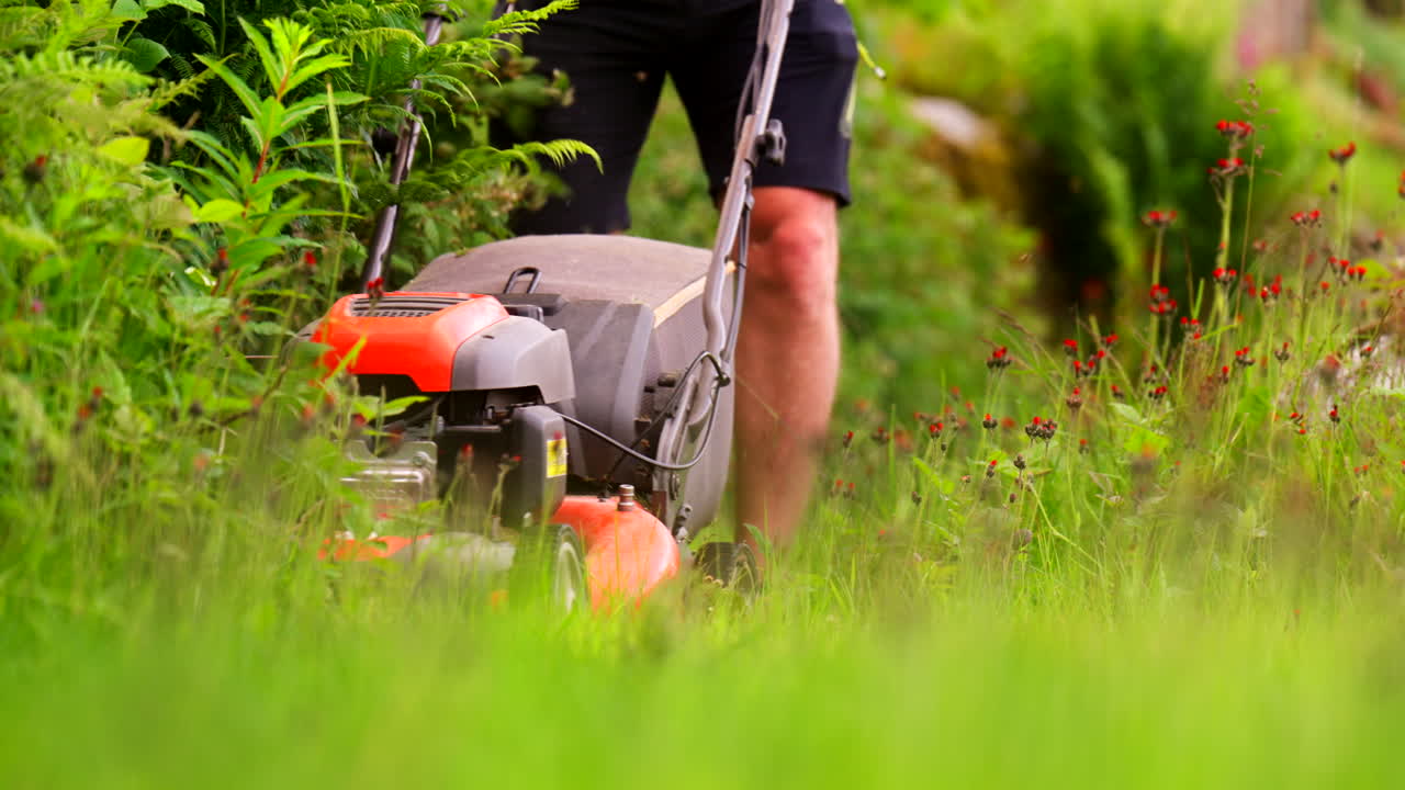 Person Operating A Lawn Mower In A Grassy Garden With Blurred Dog In The Background. - static shot