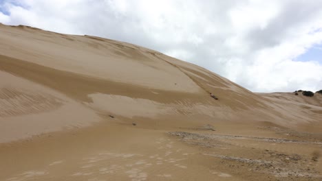 a silly man rolls down a big sanddune acting like a child