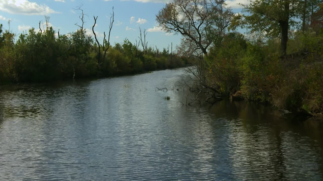 Quiet swamp channel flanked by trees under blue sky in Okefenokee, Georgia, USA