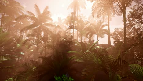 Sunset-Beams-through-Palm-Trees