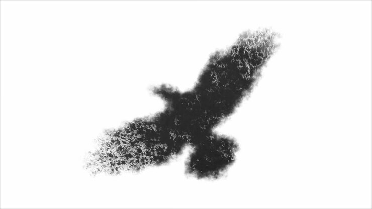 Silhouette astratta di uccello in inchiostro che si forma su sfondo bianco
