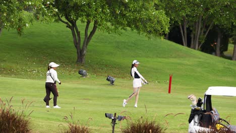 golfer executing a swing on a sunny day.