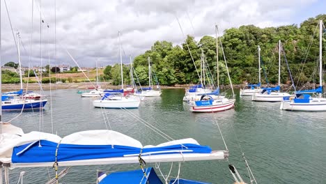 sailboats anchored in a scenic marina