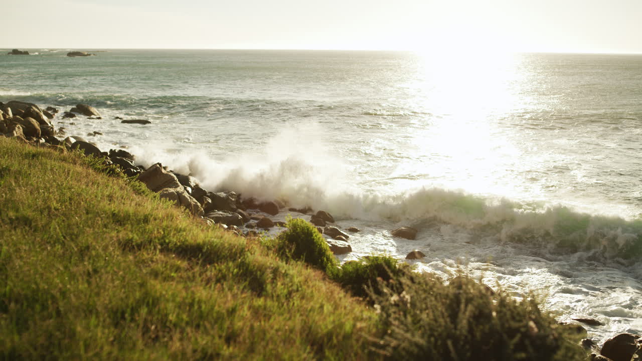 조류를 지켜보세요. 조류가 여러분에게 평화를 제공하게 해주세요.