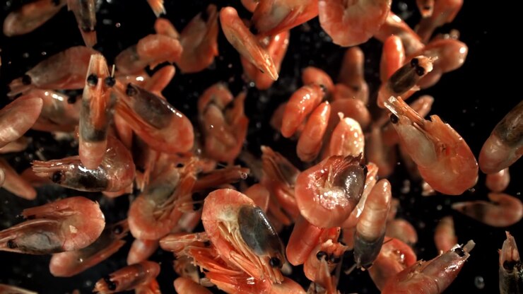 Fresh Red Shrimp Falling in Slow Motion with Water Splashes
