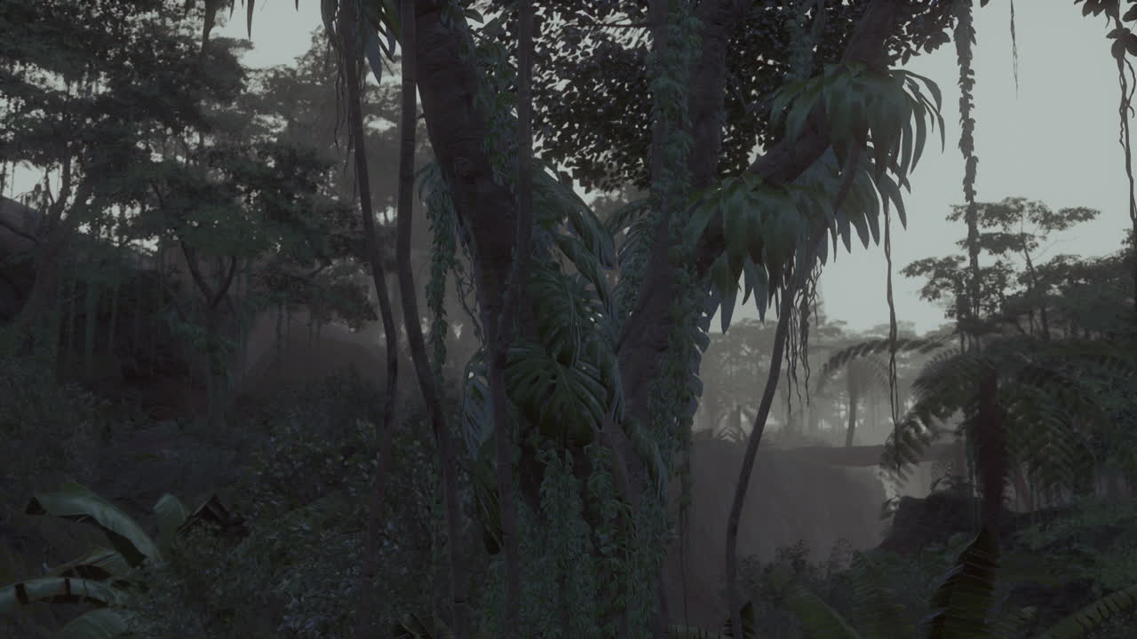 la misteriosa jungla de la niebla