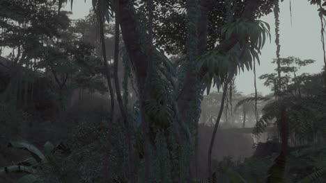 mysterious foggy jungle
