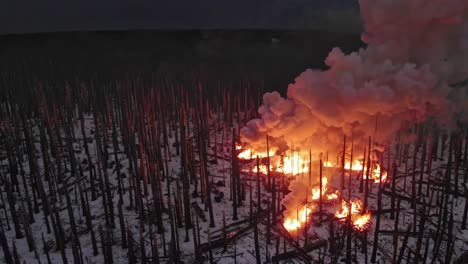 forest fire in winter