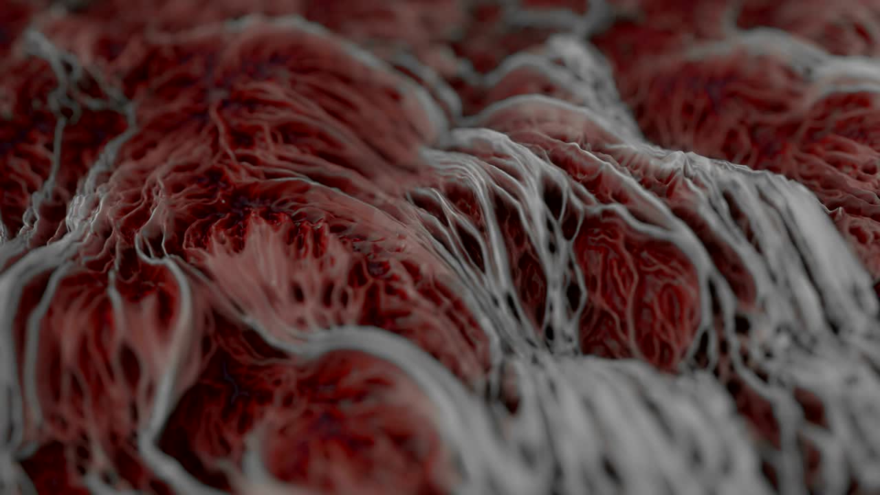 4k tejido abstracto.