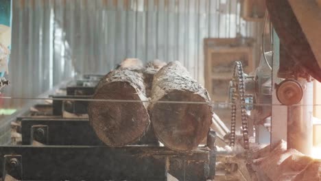 closeup of cut pine tree log on sawing machine at wood production factory. timber material processing and cutting at sawmill. manufacturing process at lumber mill. sawing woods on power machine