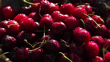 red ripe sweet cherries close-up with drops of water in the basket on the grass