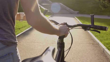man riding a bicycle on a sunny day in the park