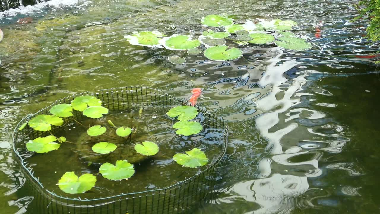 물속 에 있는 수족관 물고기 들