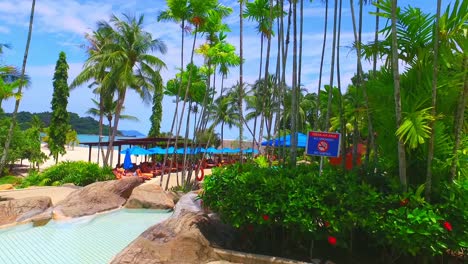 Muy-Hermosa-Piscina-De-Un-Resort-De-Lujo-Con-Cocoteros-Langkawi-Malasia