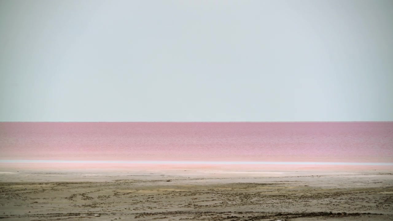 Serene View of a Pink Salt Lake Under a Clear Sky